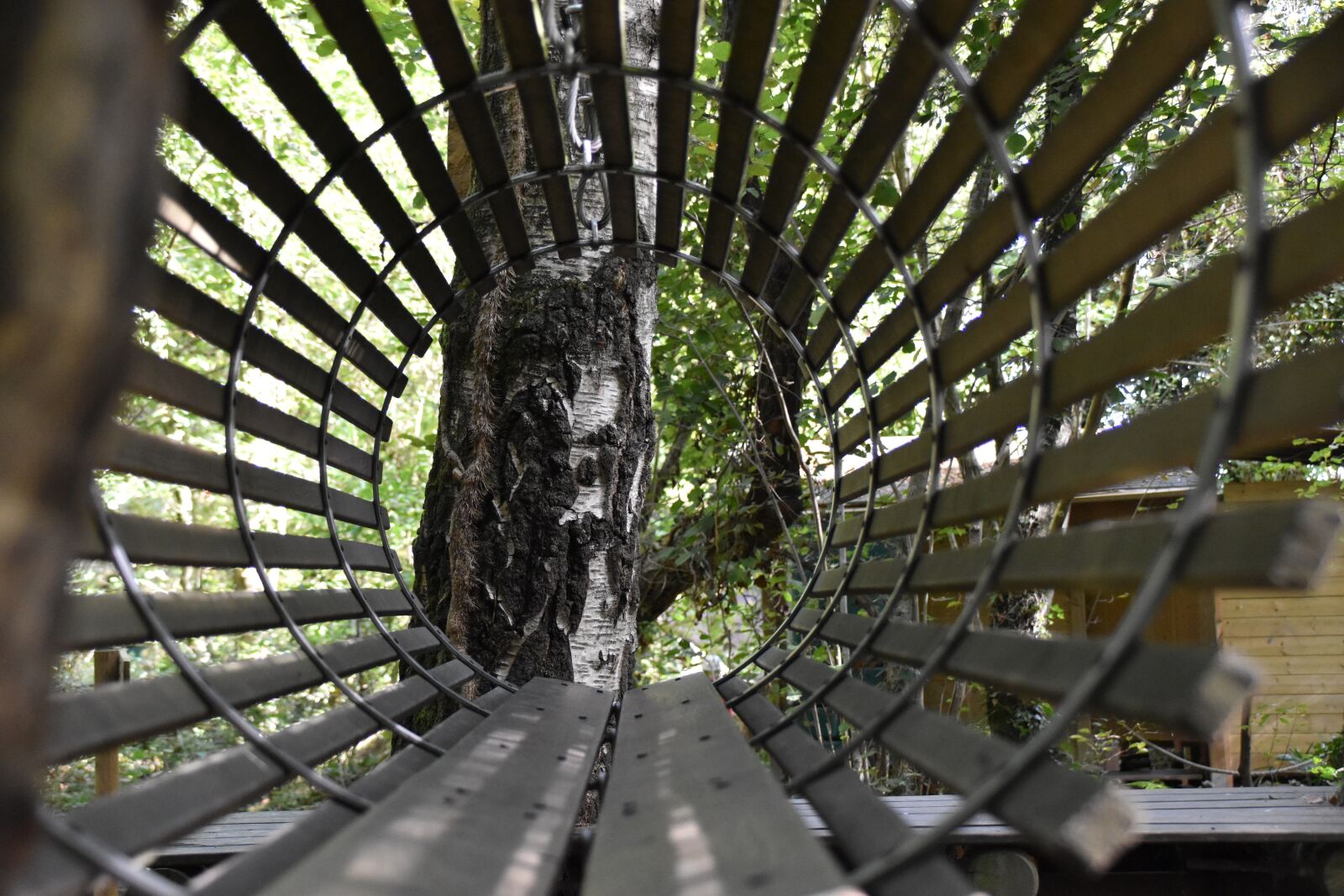 Nikon D5500 sample photo. Forest, nasse, perspective photography