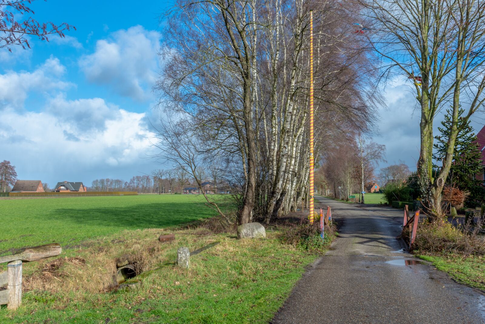 Nikon D7200 sample photo. Landscape, road, border photography