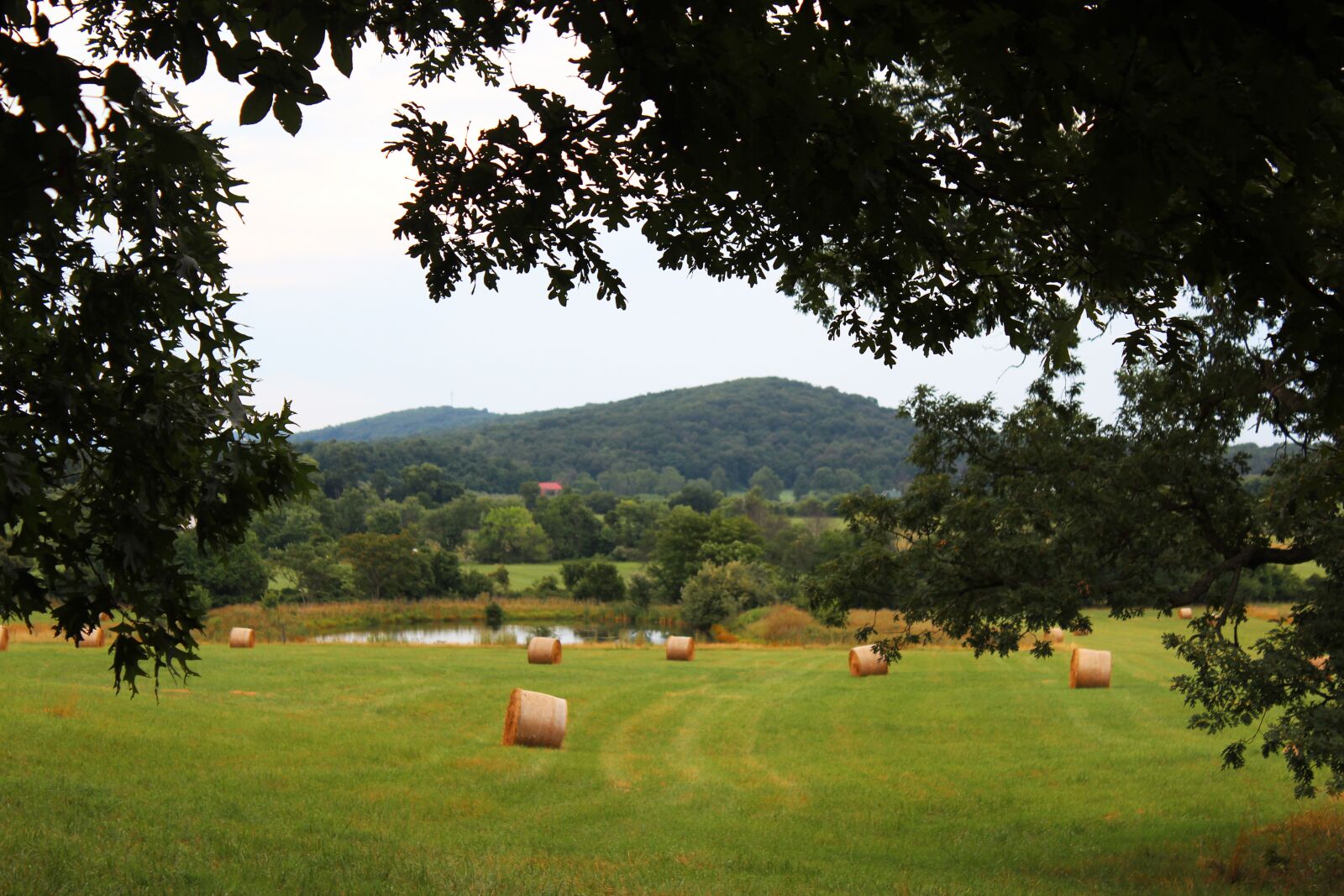 Canon EOS 600D (Rebel EOS T3i / EOS Kiss X5) sample photo. Shenandoah valley, virginia, poorhouse photography