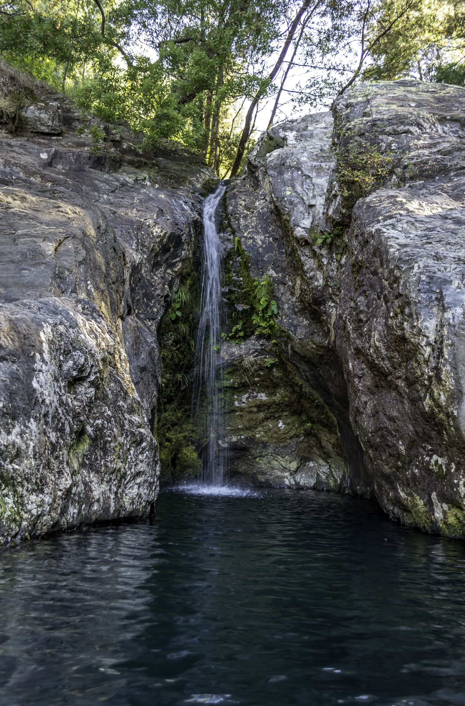 Nikon D7100 sample photo. Pond, forest, water photography