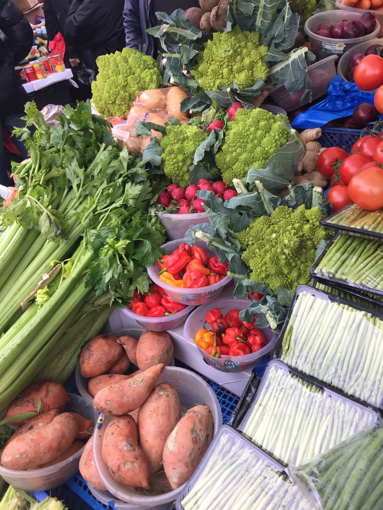 Apple iPhone 6 sample photo. Vegetables, produce, sweet potatoes photography