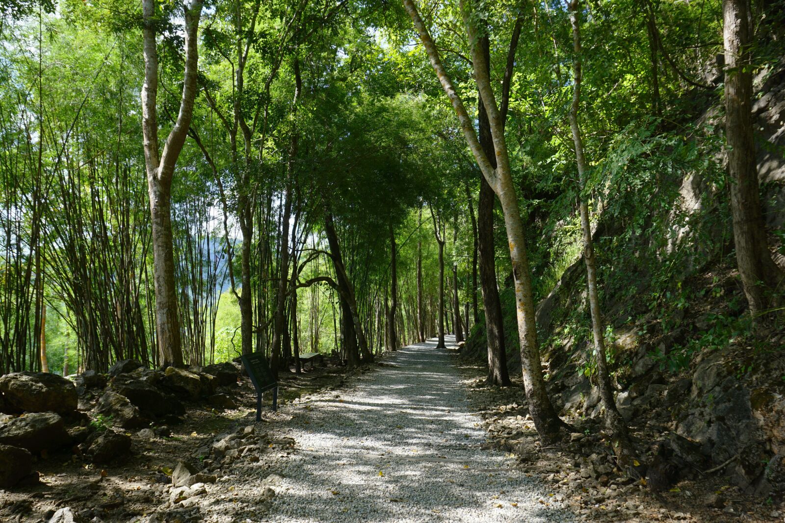 Sony E 16-50mm F3.5-5.6 PZ OSS sample photo. Hellfire pass, kanchanaburi, thailand photography