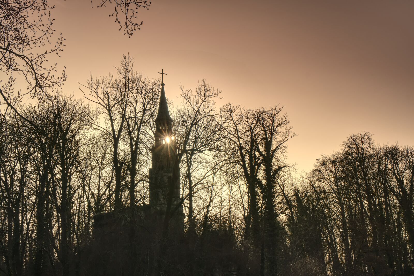 Sony a6300 + Sony Vario-Tessar T* E 16-70mm F4 ZA OSS sample photo. Church, ruins, trees photography
