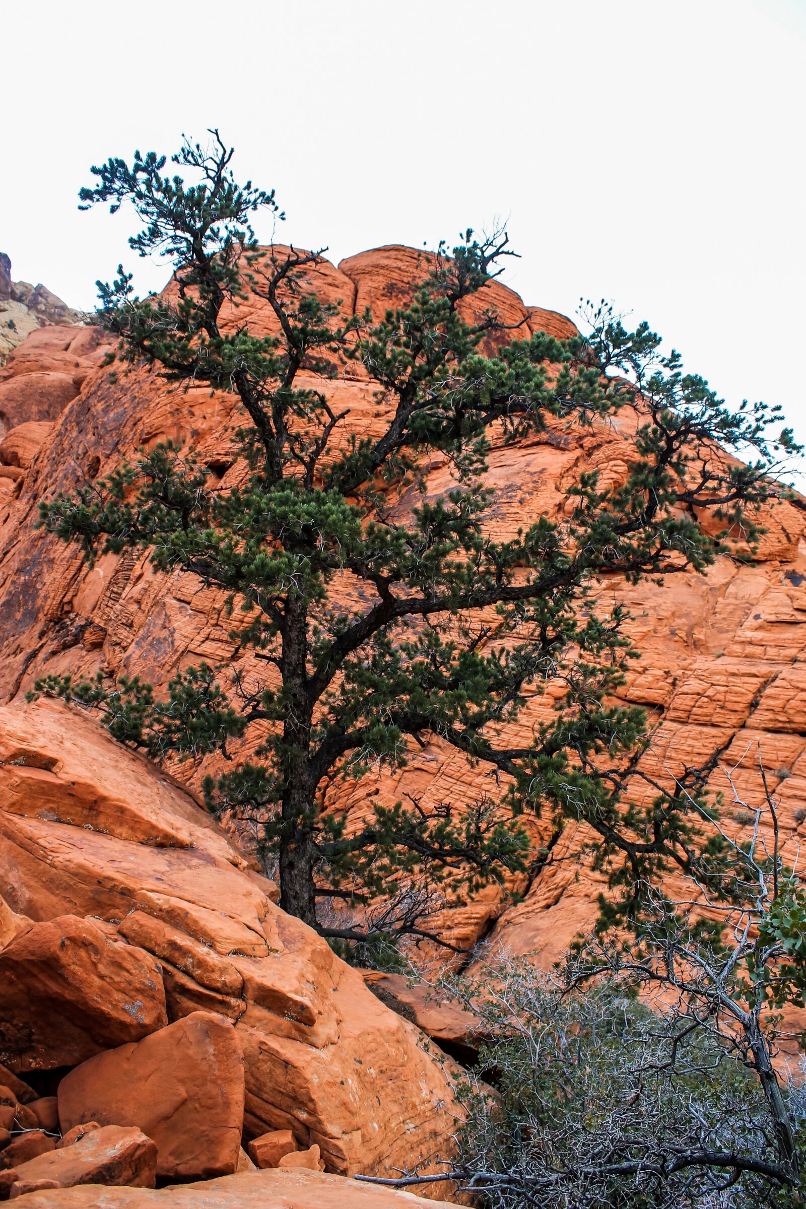 Canon EOS 1100D (EOS Rebel T3 / EOS Kiss X50) sample photo. Utah, red rocks, red photography