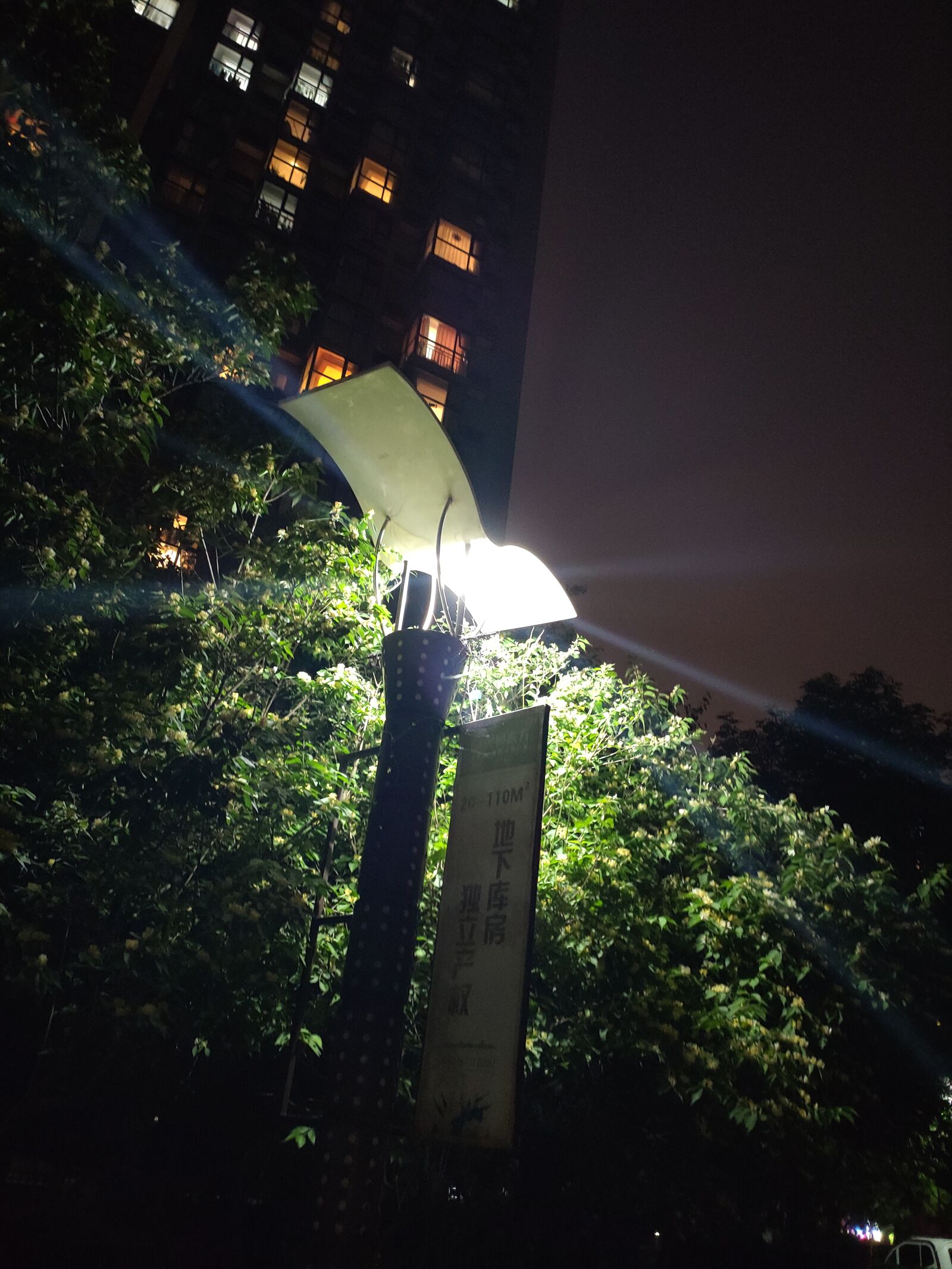 Xiaomi MI 9 sample photo. Street lamp, the leaves photography