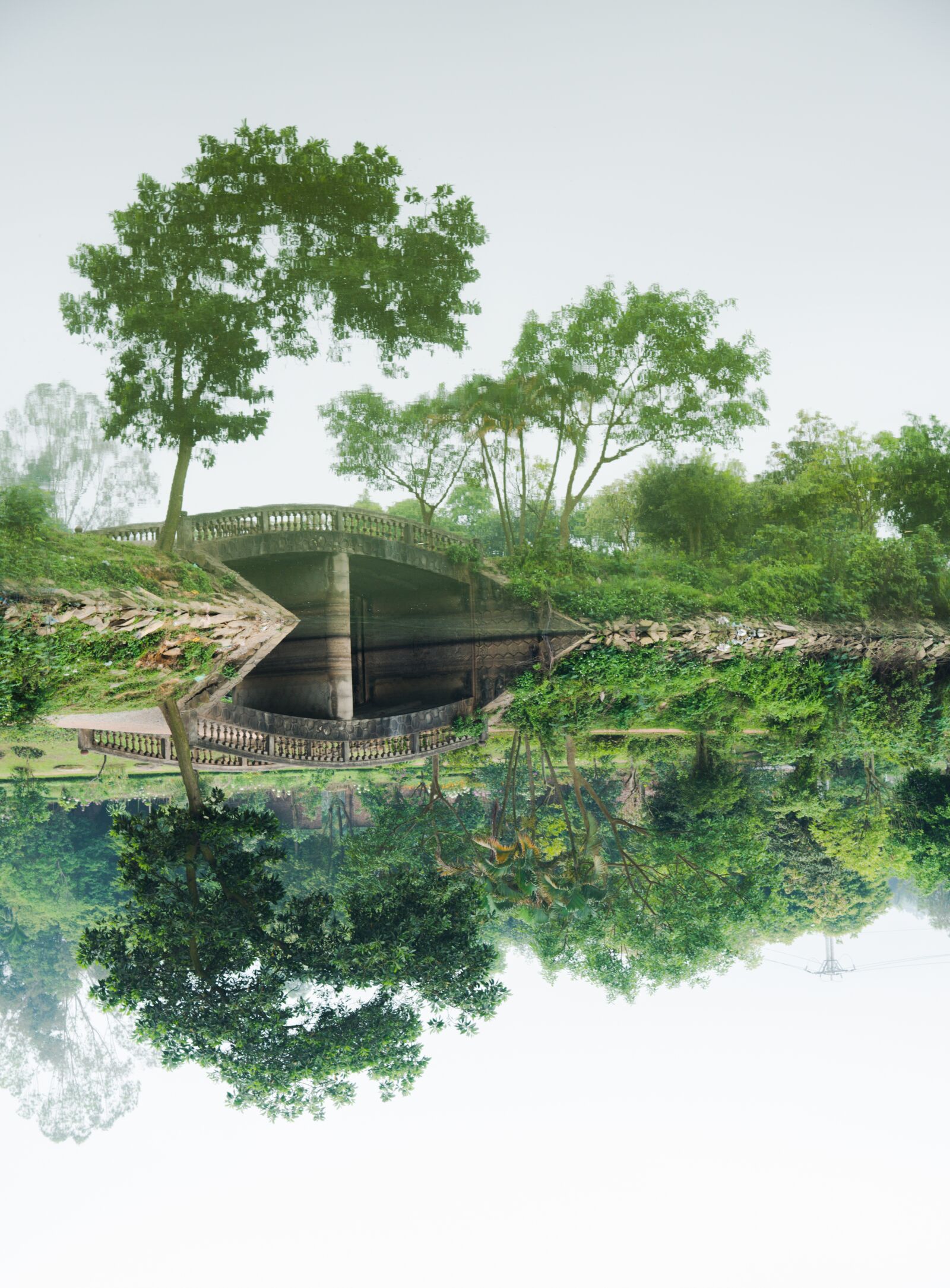 Nikon D750 sample photo. Lake, tree, river photography