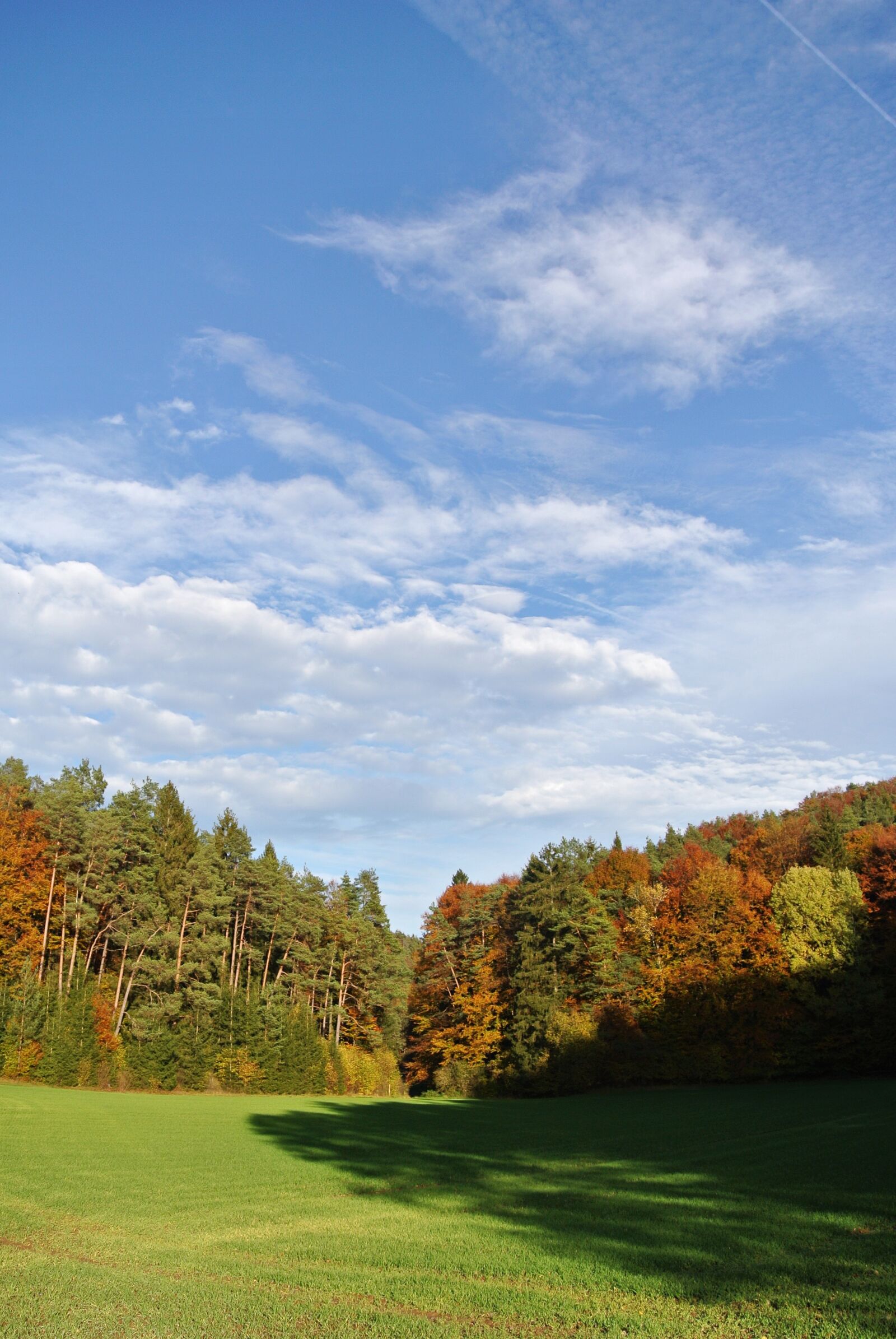 Nikon 1 Nikkor VR 10-30mm F3.5-5.6 sample photo. Autumn, glade, forest photography