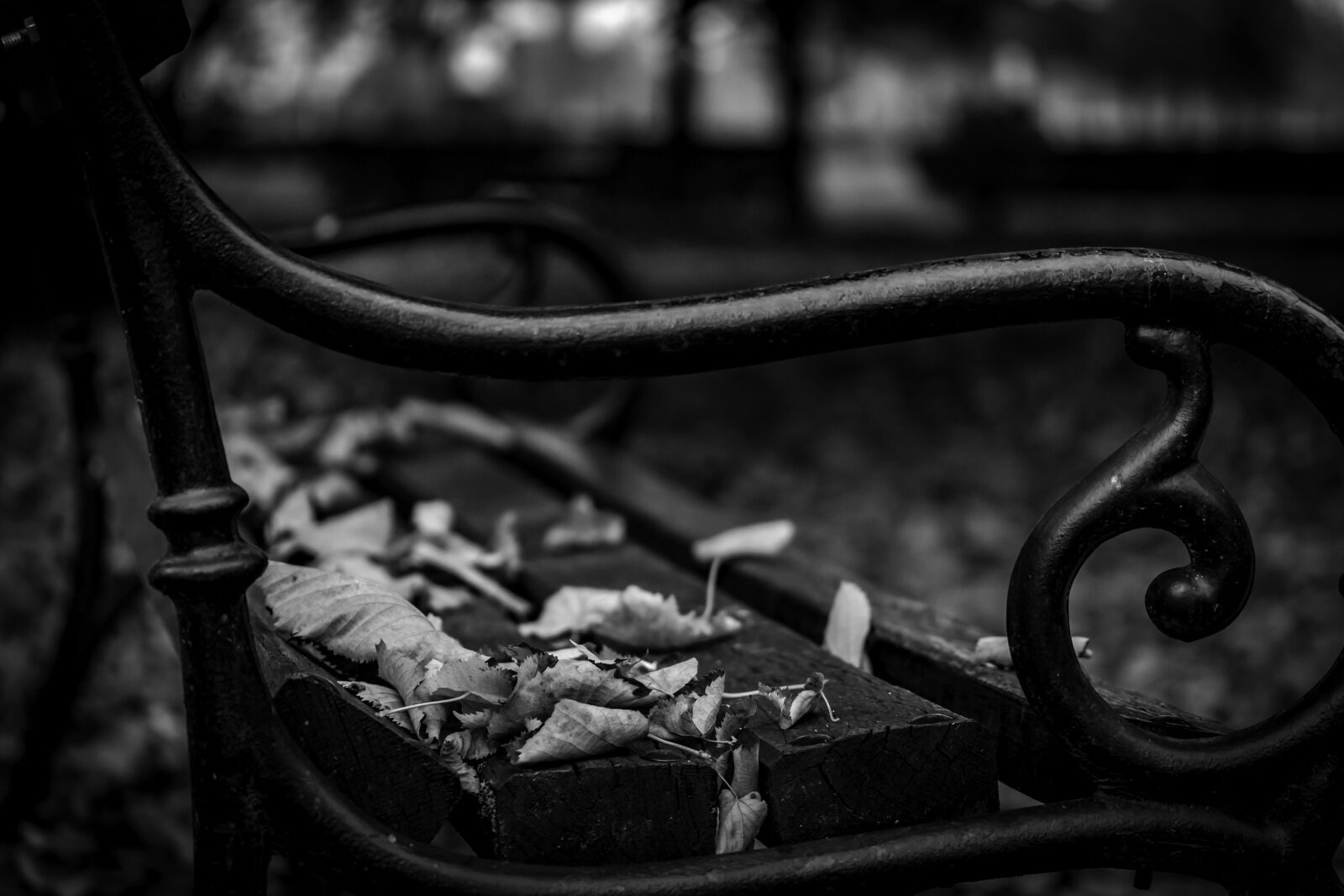 Canon EF-S 60mm F2.8 Macro USM sample photo. Autumn bench, bench, autumn photography