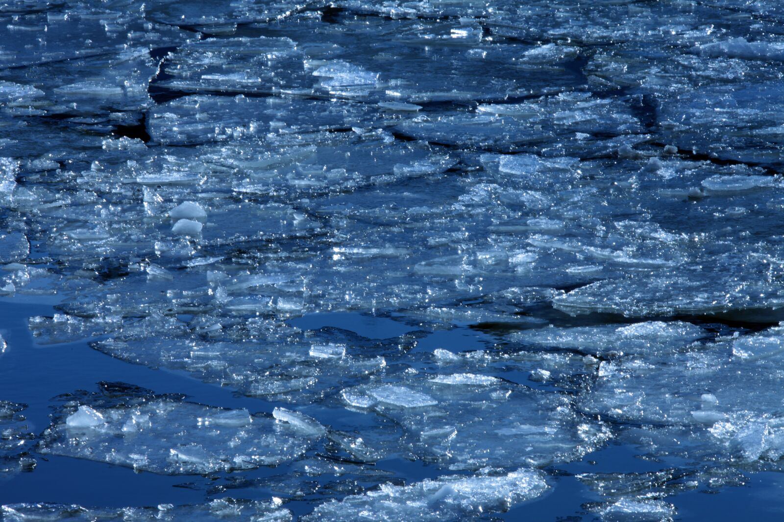 Canon EOS 5D Mark II sample photo. Ice, water, sea photography