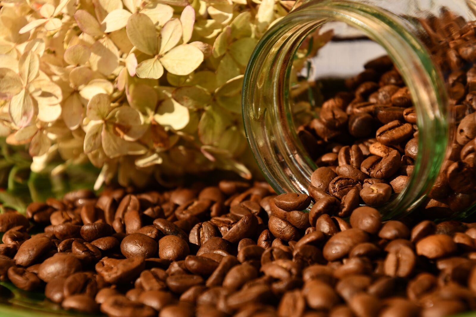 Nikon D7500 sample photo. Coffee, coffee beans, roasted photography