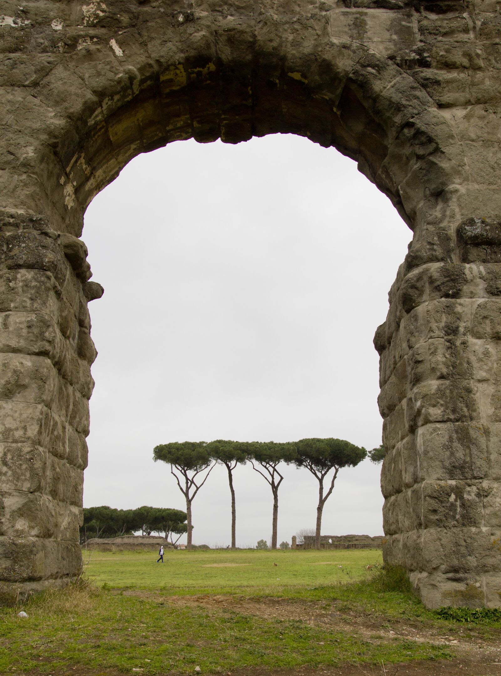 Canon EOS 550D (EOS Rebel T2i / EOS Kiss X4) sample photo. Roman, aqueduct, europe photography