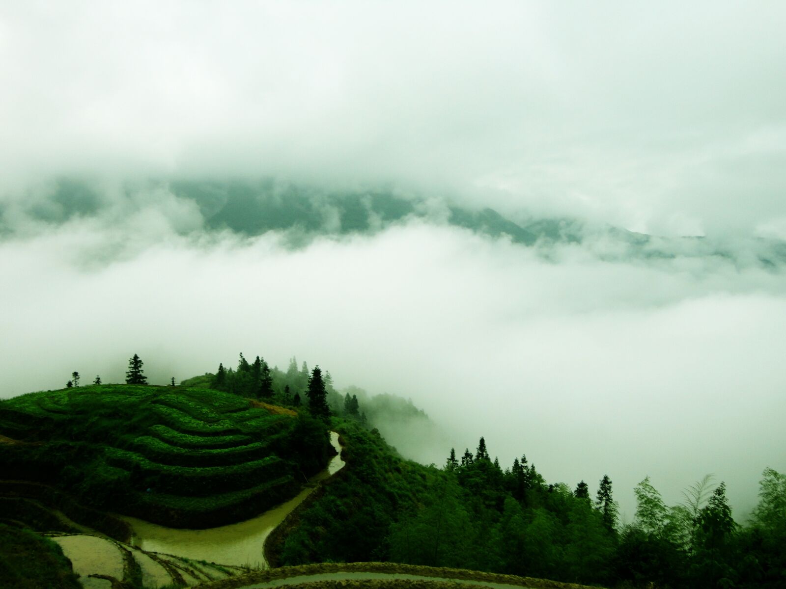 Sony Cyber-shot DSC-W570 sample photo. Guilin, dragon's back, terrace photography