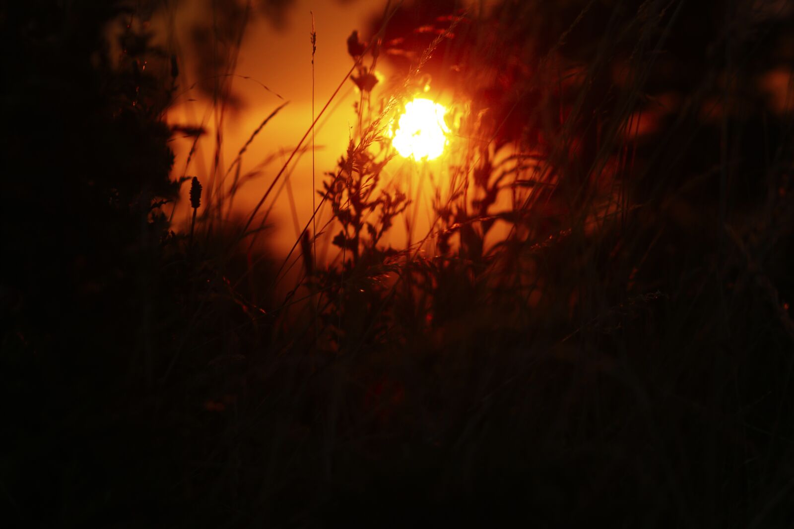 Canon EF75-300mm f/4-5.6 sample photo. Sunset, wicklow, bray photography