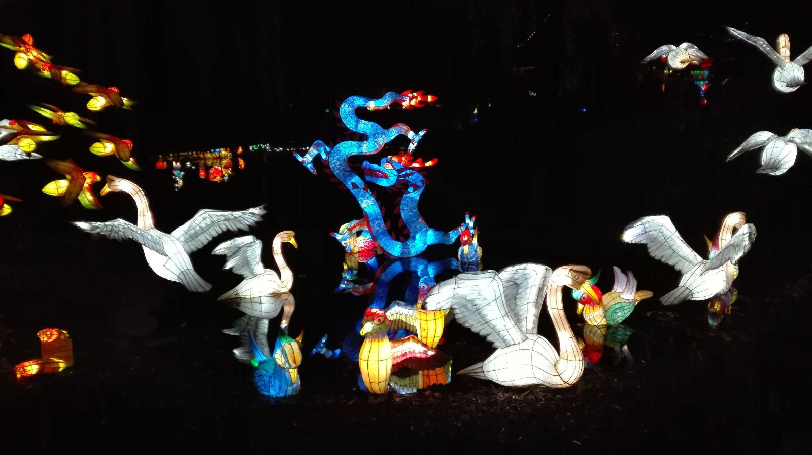 HUAWEI P8 Lite sample photo. Montr al, botanical garden photography