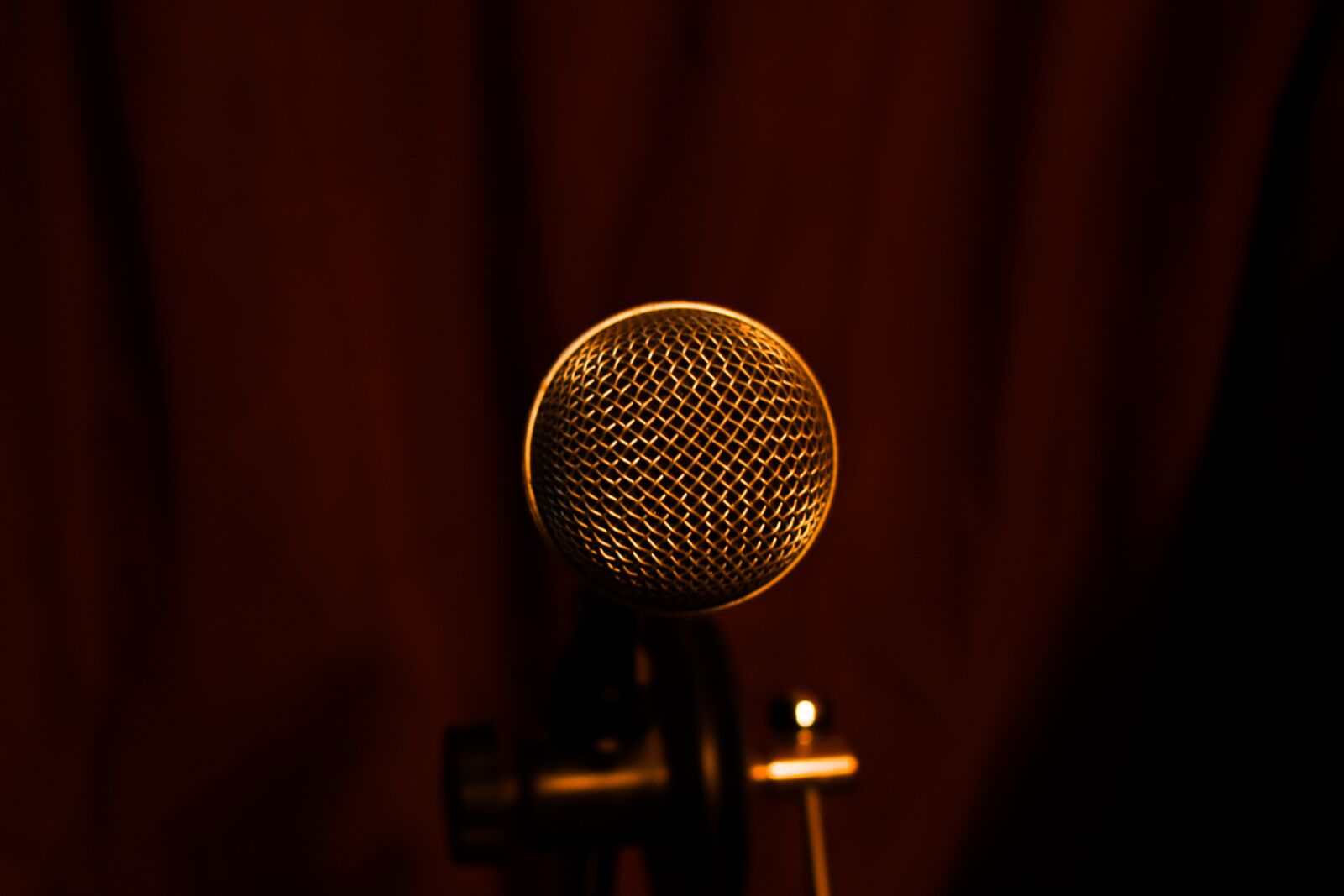 Nikon D3400 sample photo. Microphone, music, sound photography