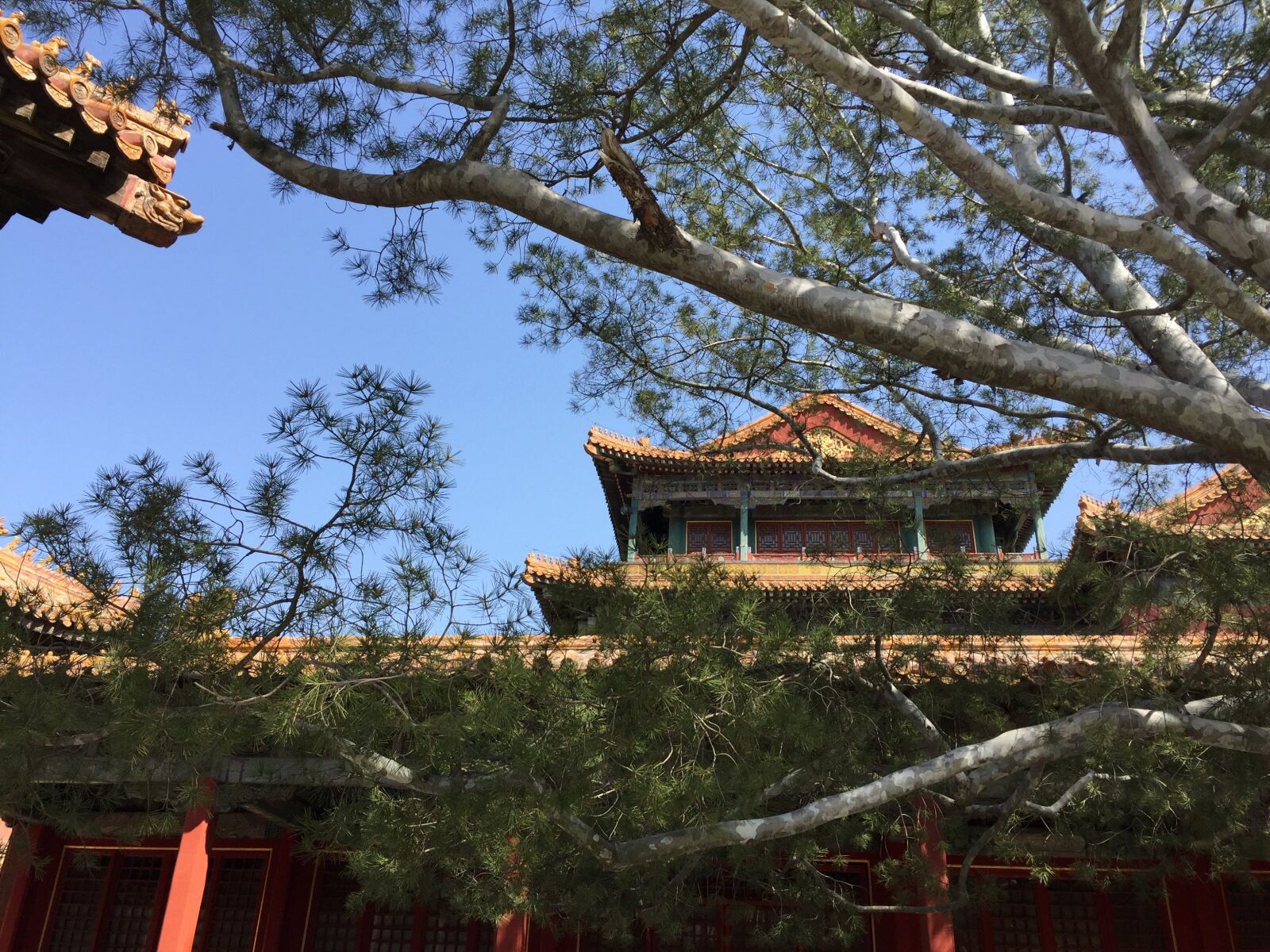 iPhone 6 Plus back camera 4.15mm f/2.2 sample photo. Beijing, the national palace photography