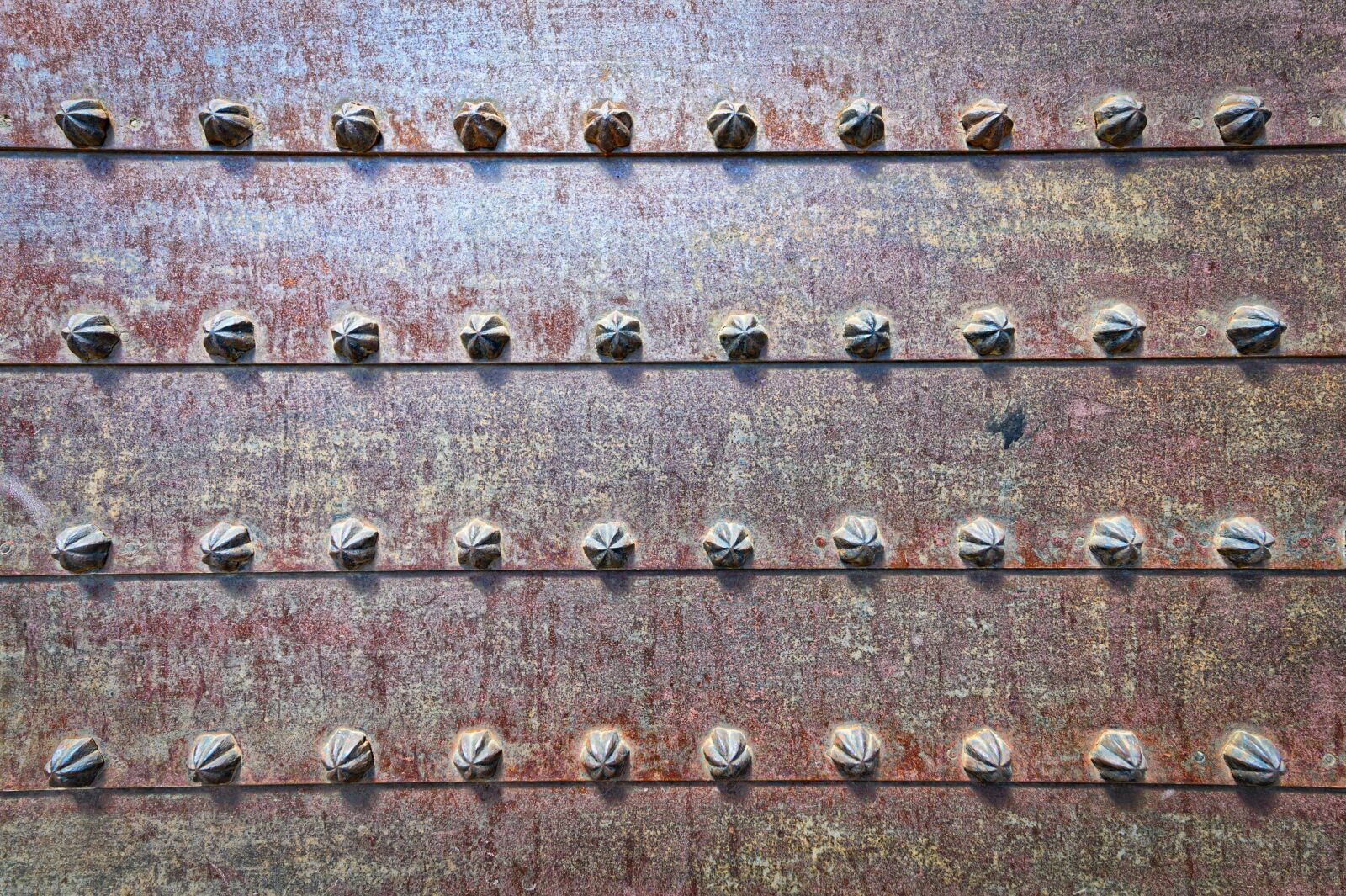 Nikon Z6 sample photo. Background, texture, pattern photography