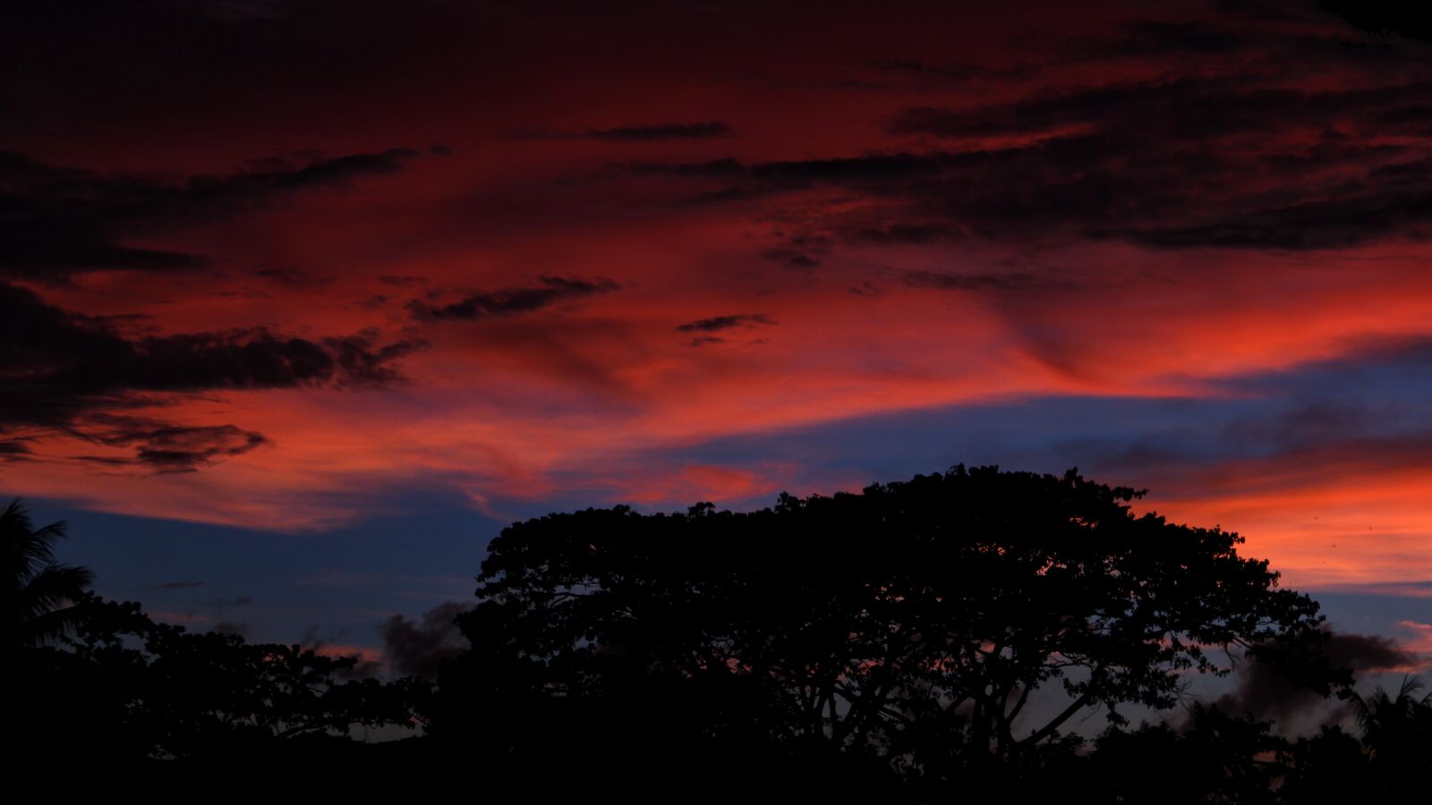 Canon EOS 700D (EOS Rebel T5i / EOS Kiss X7i) sample photo. Nature, sky, cloud photography