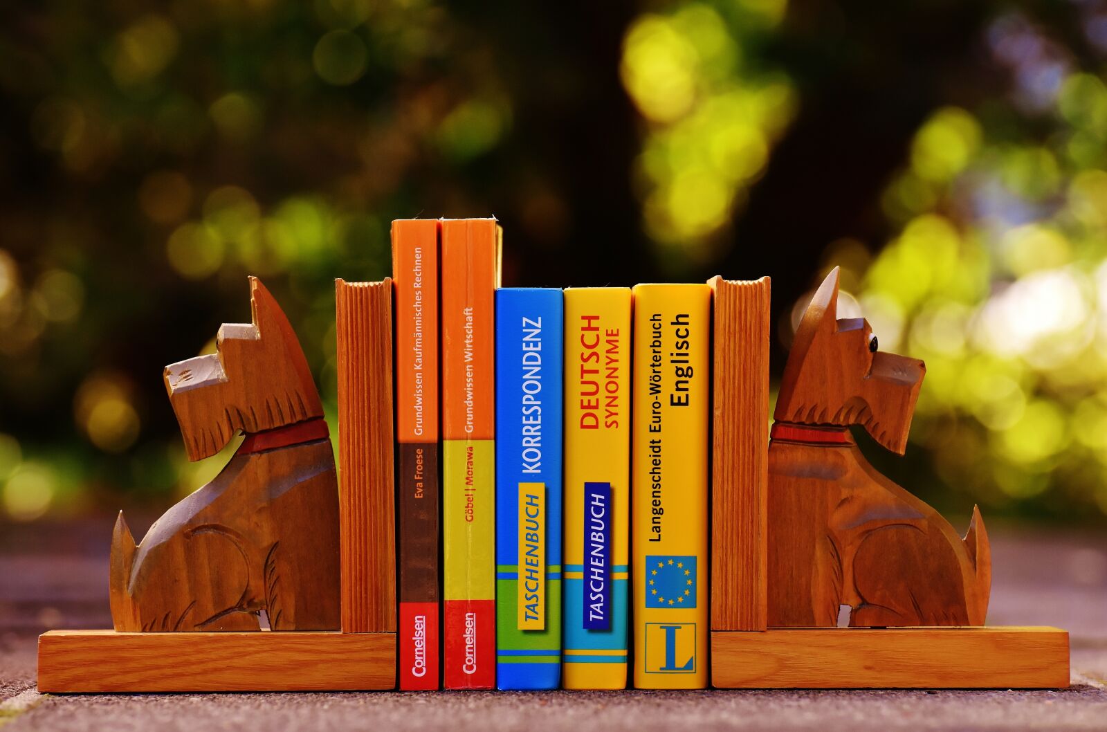 Nikon D7200 sample photo. Bookends, dog, books photography