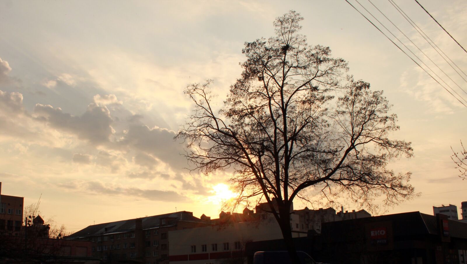 Canon EOS 550D (EOS Rebel T2i / EOS Kiss X4) sample photo. Tree, nature, panoramic photography
