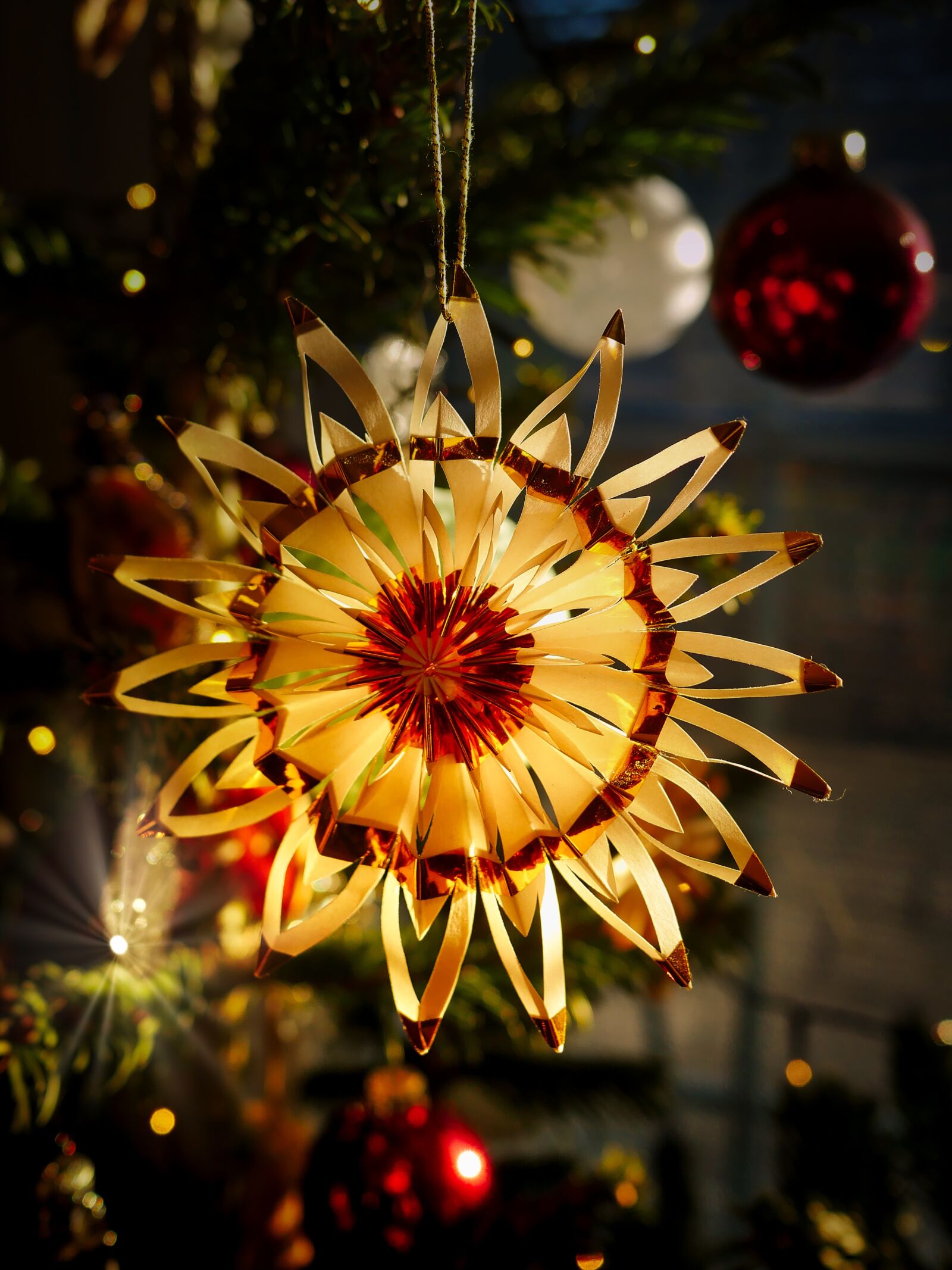 Panasonic Lumix DMC-GX8 sample photo. Christmas decorations, star, poinsettia photography