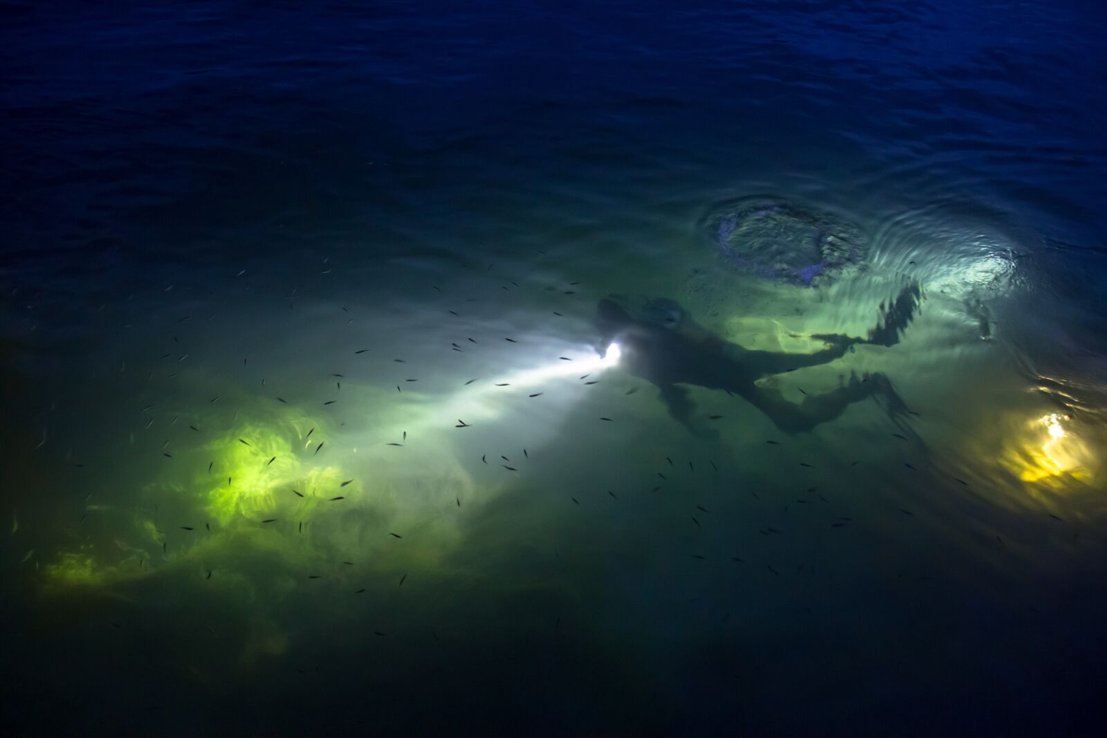 Canon EOS 7D sample photo. Diving, divers, night diving photography