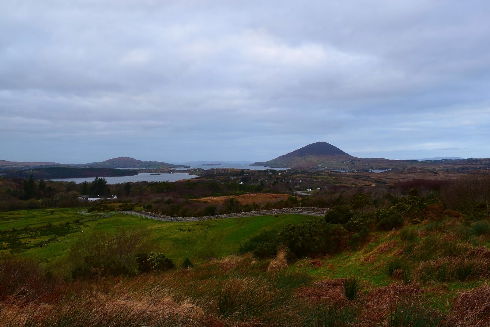Nikon D5300 sample photo. Nature, national park, ireland photography
