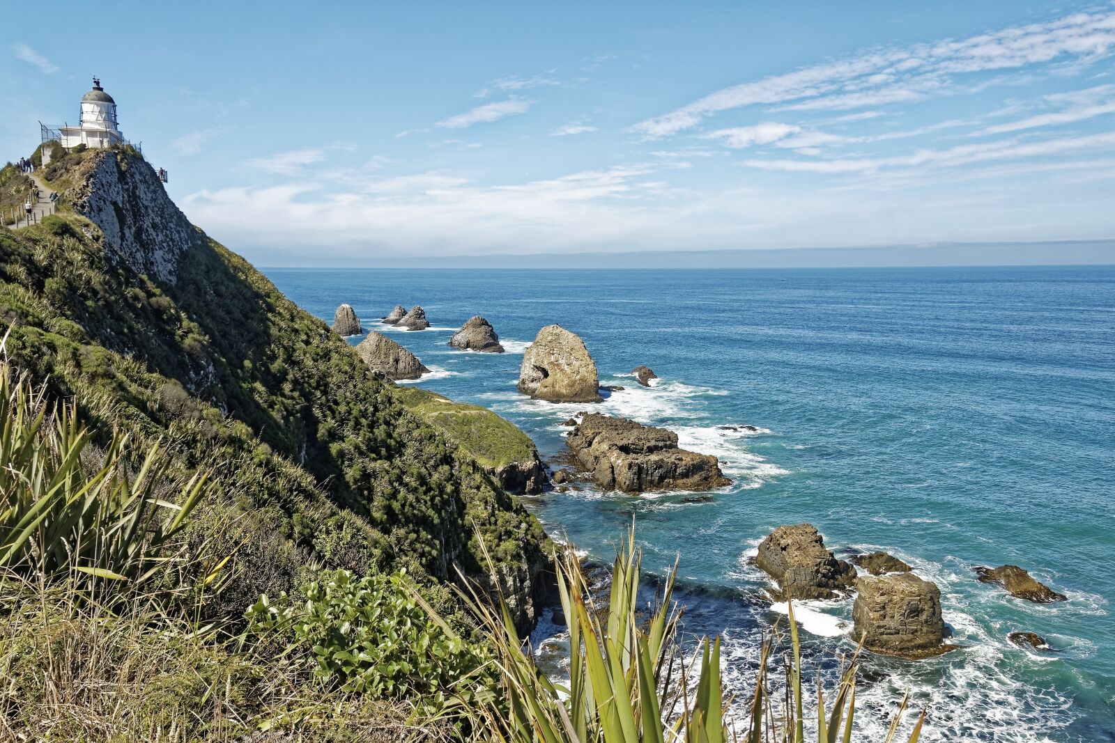 Nikon D500 sample photo. New zealand, nugget point photography