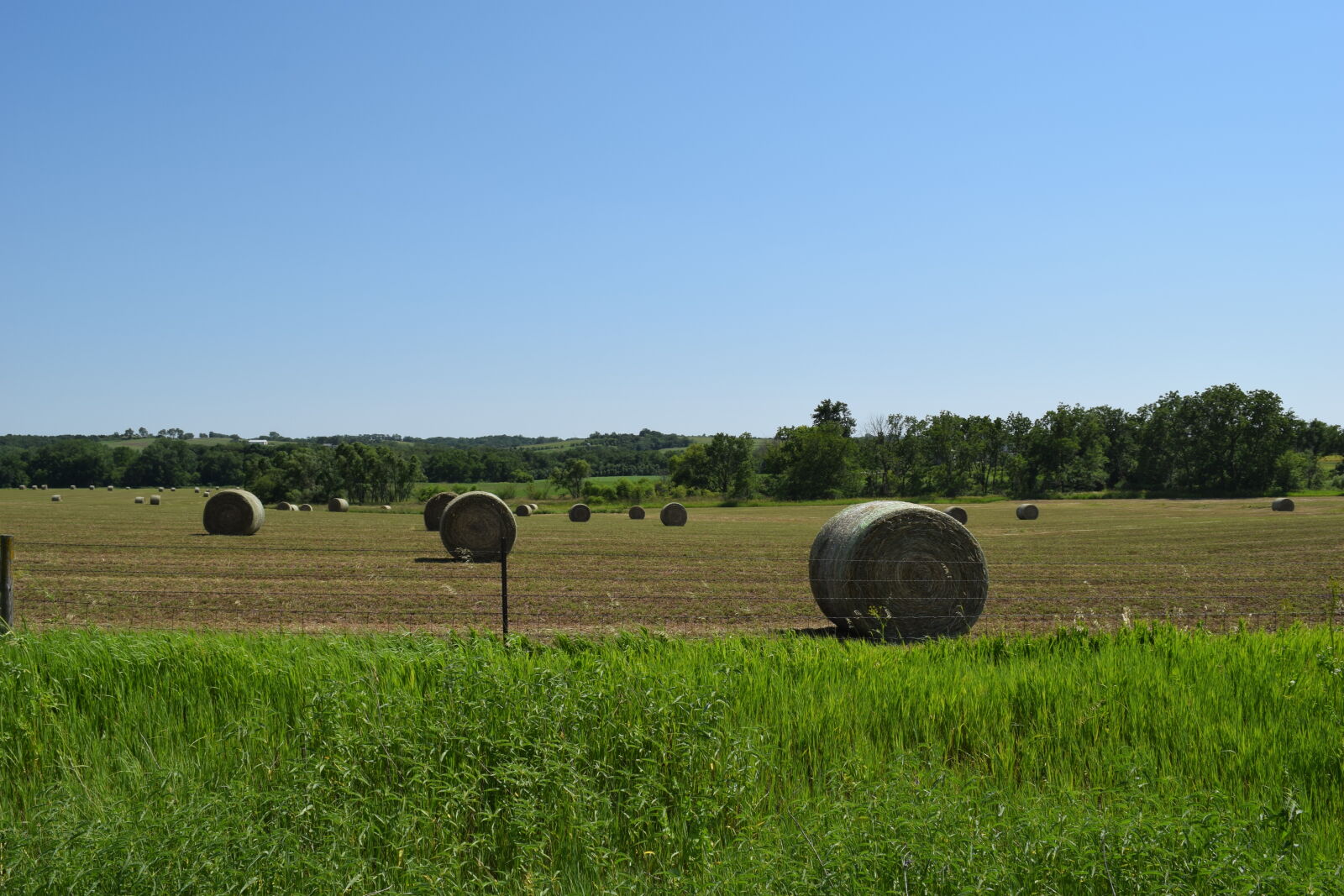 Nikon D3300 sample photo
