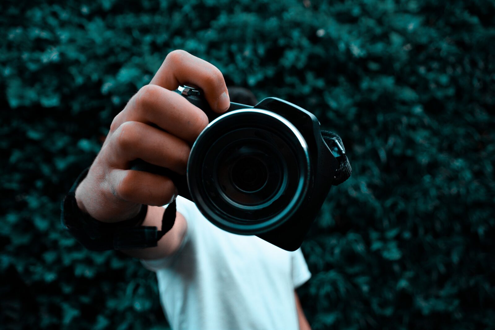 Nikon D5200 sample photo. Cámara, fotografa, lente photography
