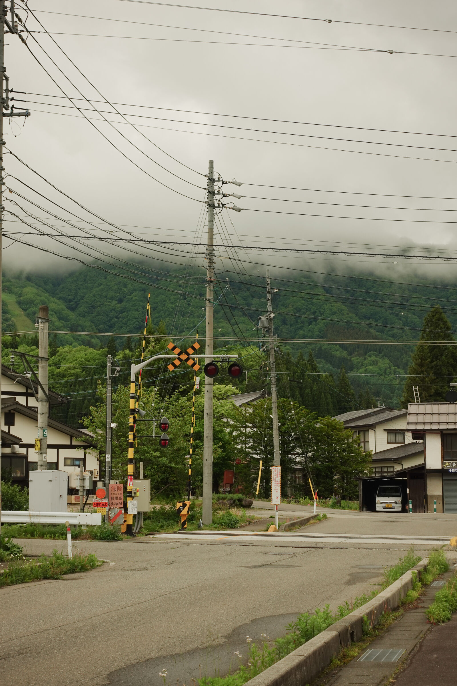 Sony ZV-1 sample photo