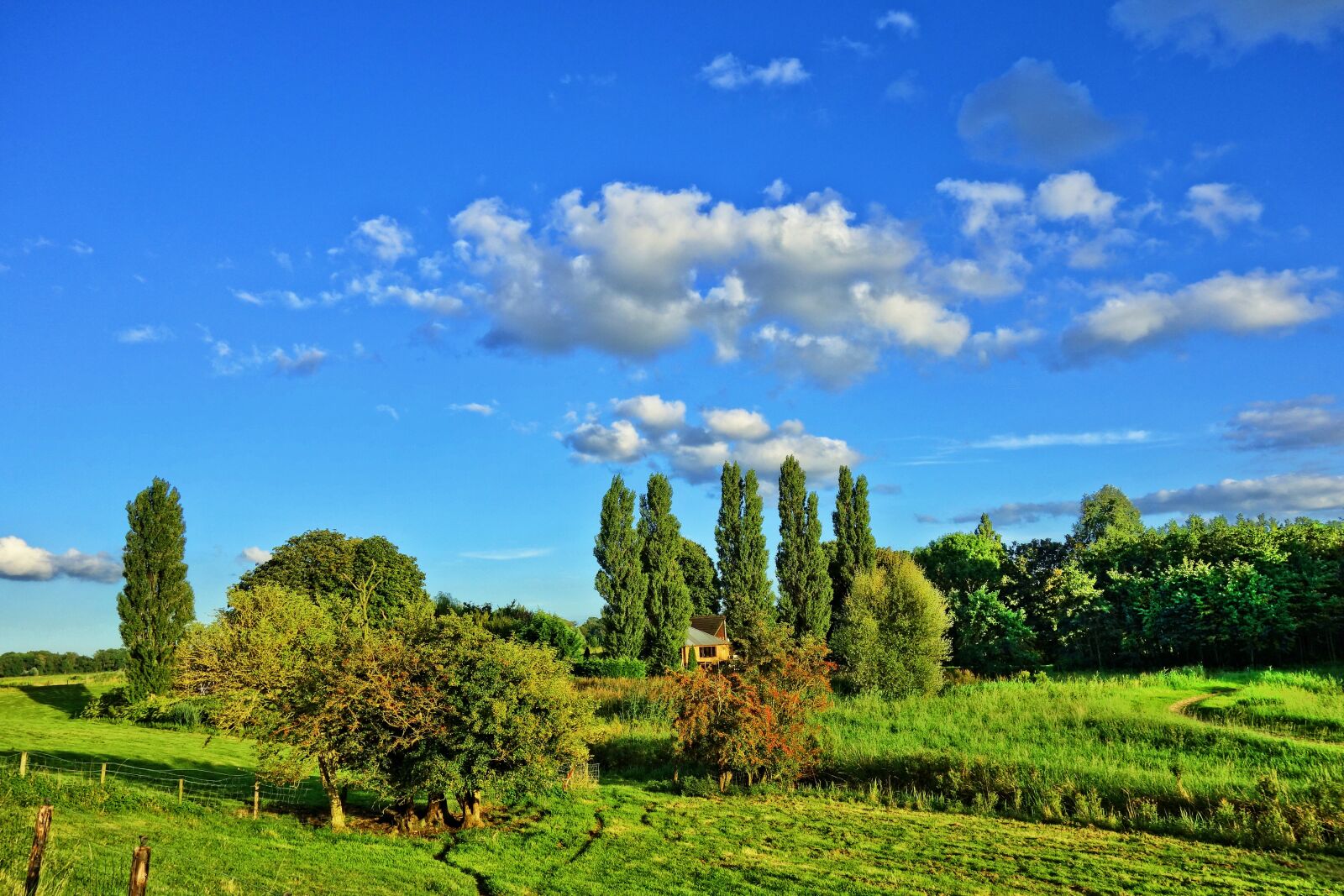Sony Cyber-shot DSC-RX100 sample photo. Landscape, countryside, fields photography