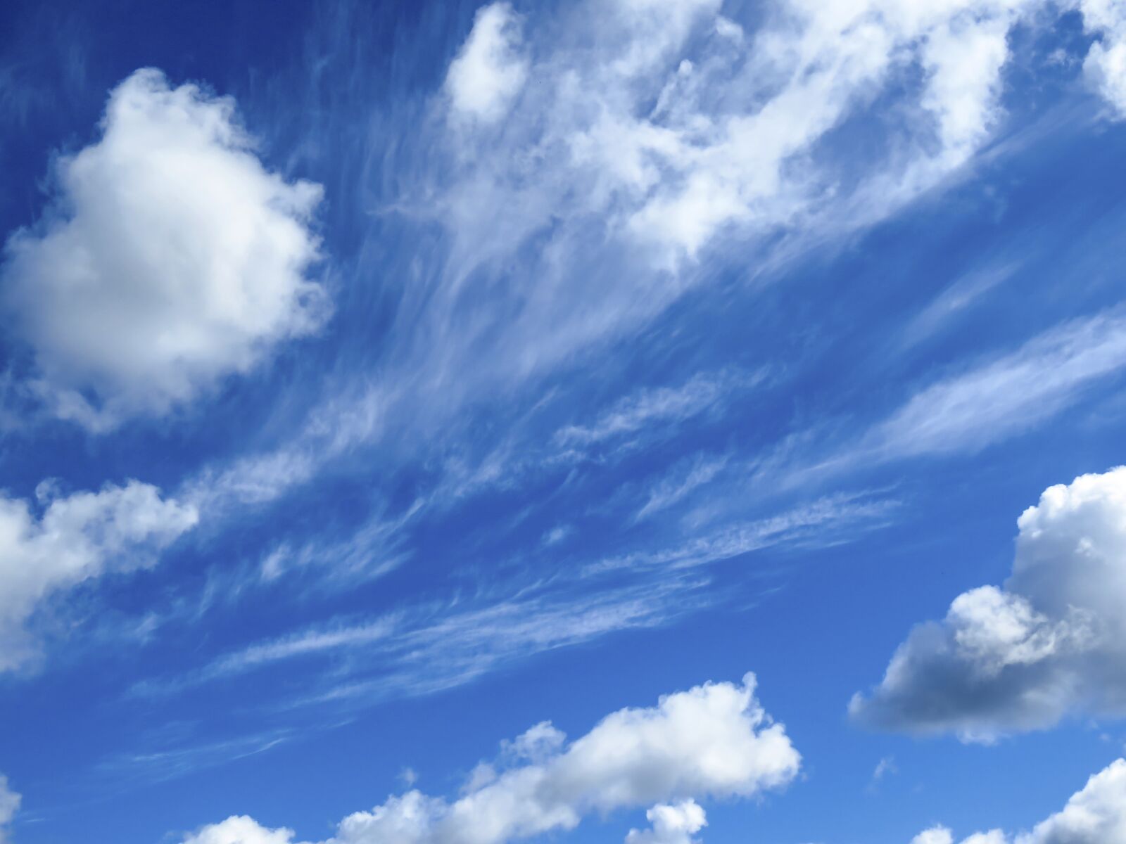 Canon PowerShot SX60 HS sample photo. Sky, clouds, cumulus photography