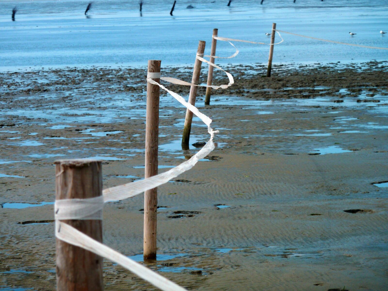 Panasonic DMC-TZ7 sample photo. Schlick, watts, ebb photography