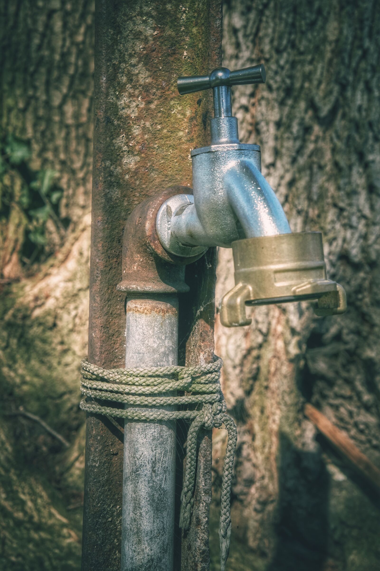 Sony a6000 + Sony E 35mm F1.8 OSS sample photo. Faucet, pipeline, metal photography
