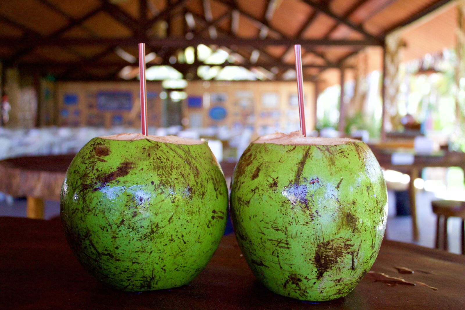 Canon EOS 1300D (EOS Rebel T6 / EOS Kiss X80) sample photo. Coco, food, healthy photography