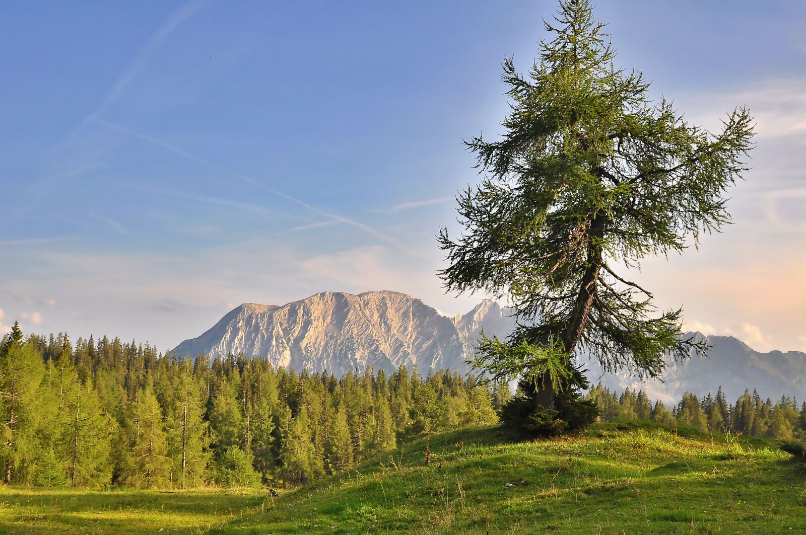 Nikon D90 sample photo. Nature, landscape, mountains photography