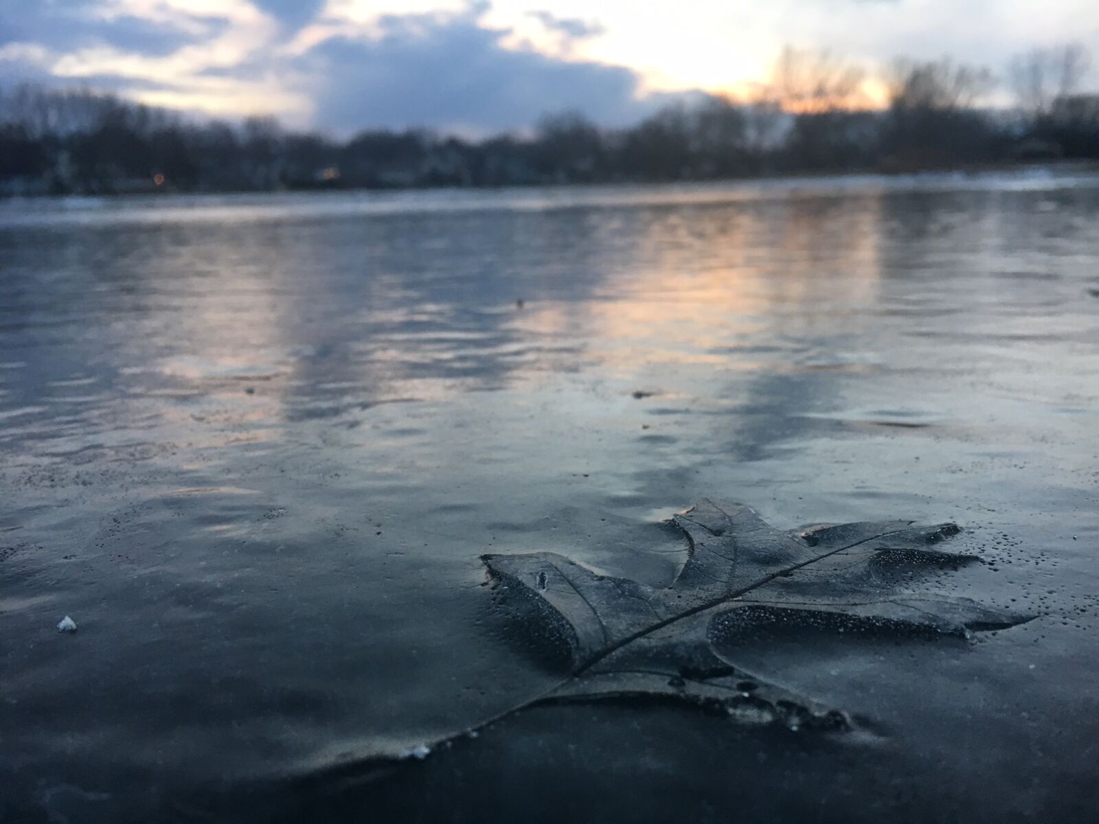Apple iPhone 6s sample photo. Leave, frozen, lake photography