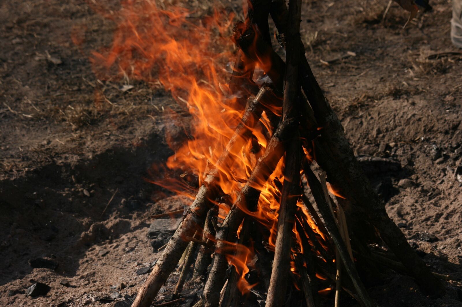 Canon EOS 400D (EOS Digital Rebel XTi / EOS Kiss Digital X) sample photo. Campfire, fire, wood photography