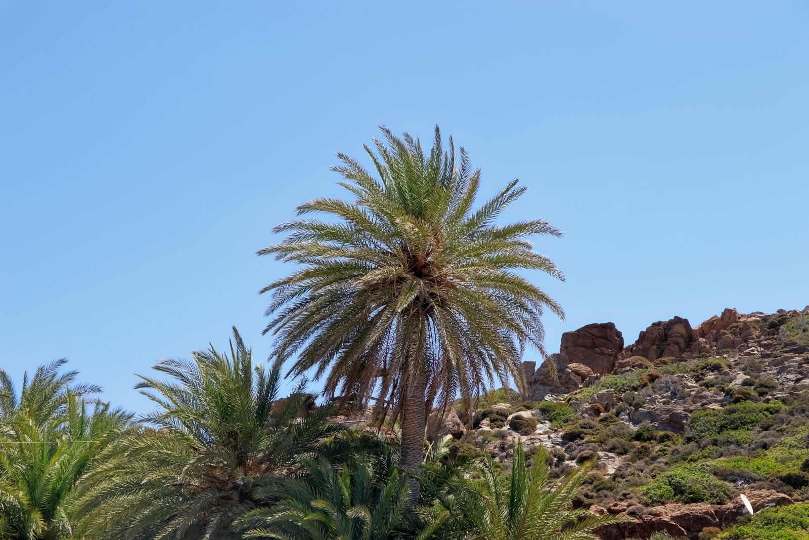 Canon EOS 80D sample photo. Palma, greece, tropical photography