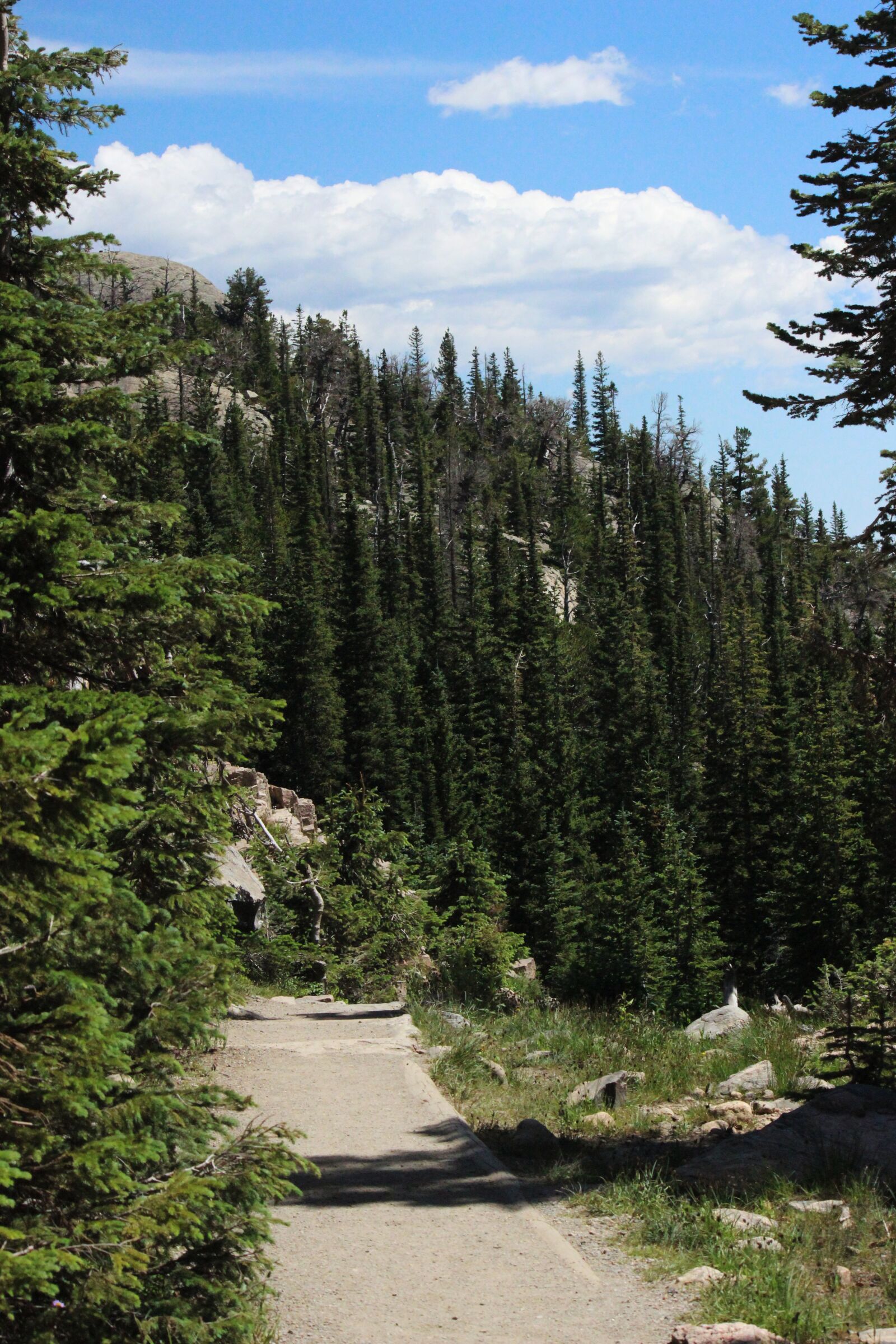 Canon EOS 600D (Rebel EOS T3i / EOS Kiss X5) sample photo. Mountain, forest, rocky mountain photography