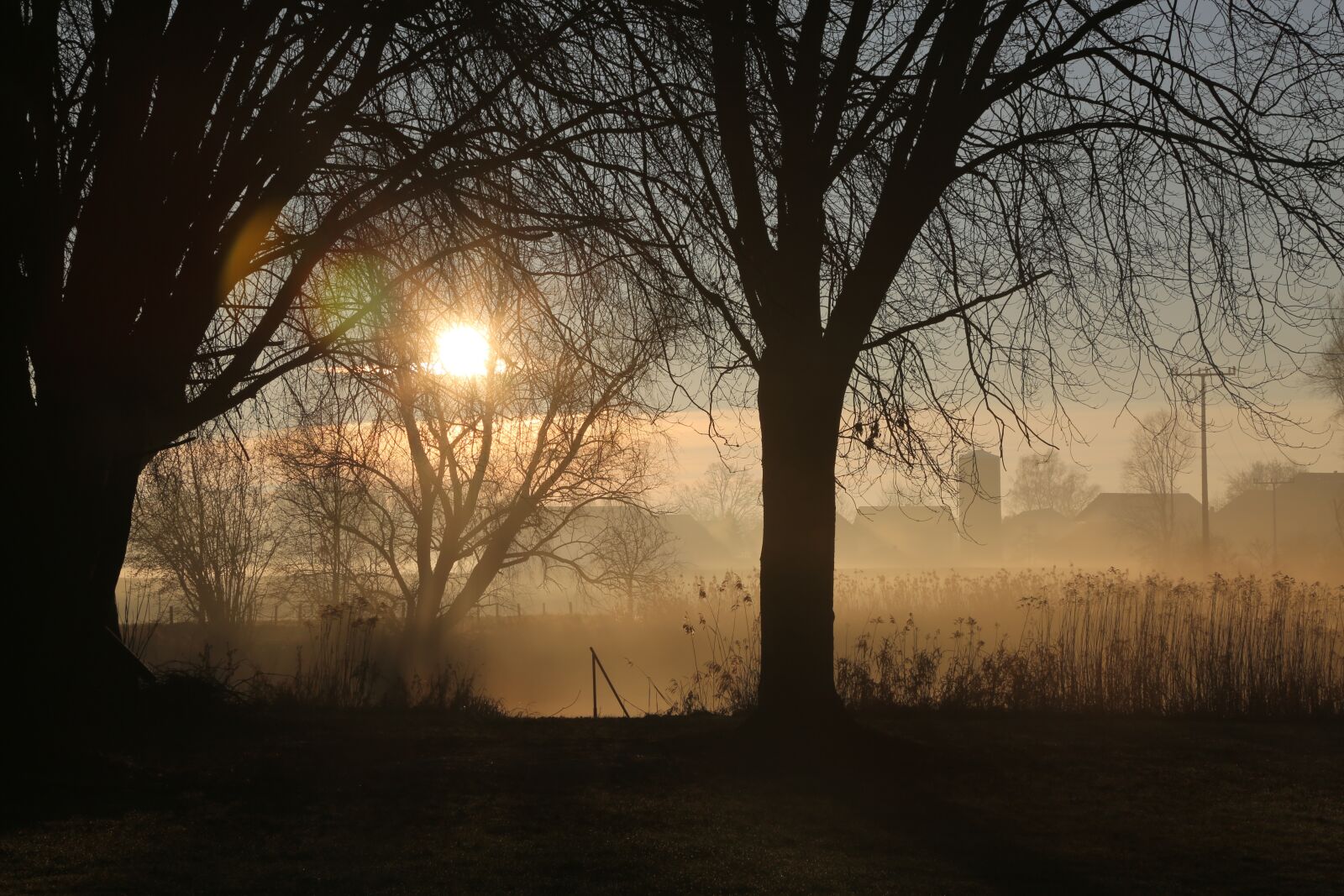 Canon EF 24-105mm F4L IS USM sample photo. Morning, mood, skies photography