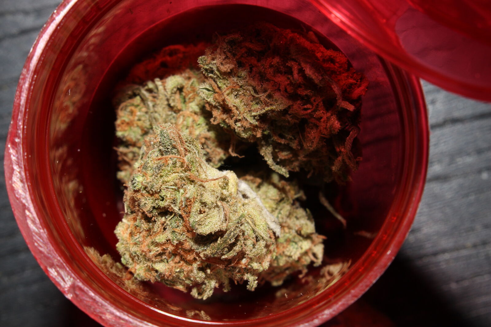 Canon EOS 700D (EOS Rebel T5i / EOS Kiss X7i) sample photo. 420, 710, cannabis, ganja photography