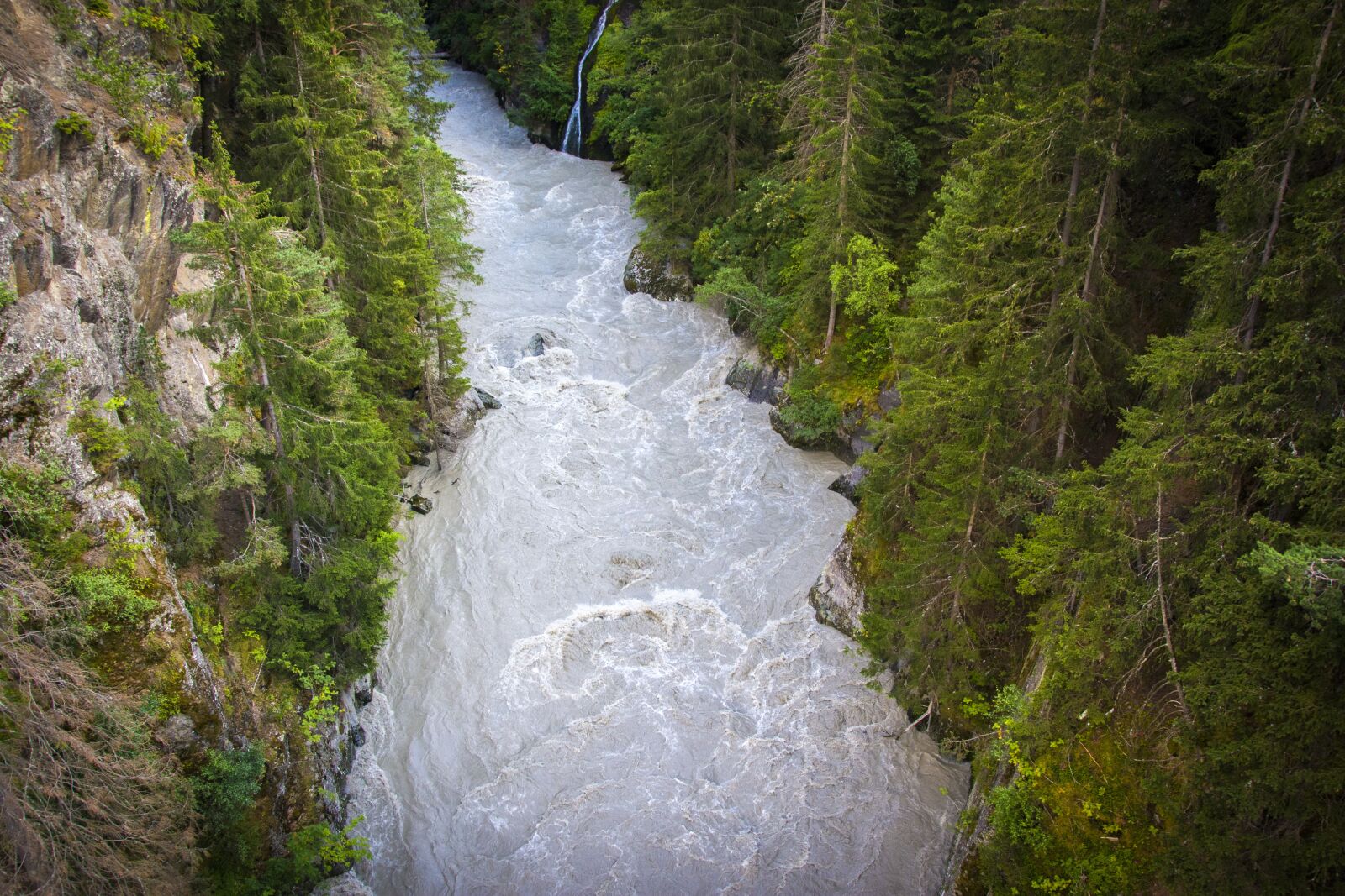 Nikon D7200 sample photo. Water, river, forest photography