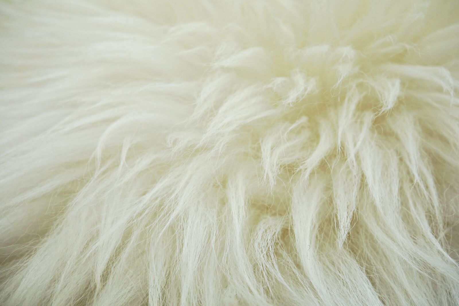 Sony Cyber-shot DSC-RX100 sample photo. Fleece, hide, wool photography