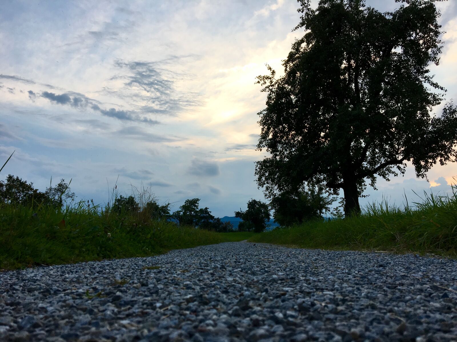 Apple iPhone 6s sample photo. Away, pebbles, tree photography