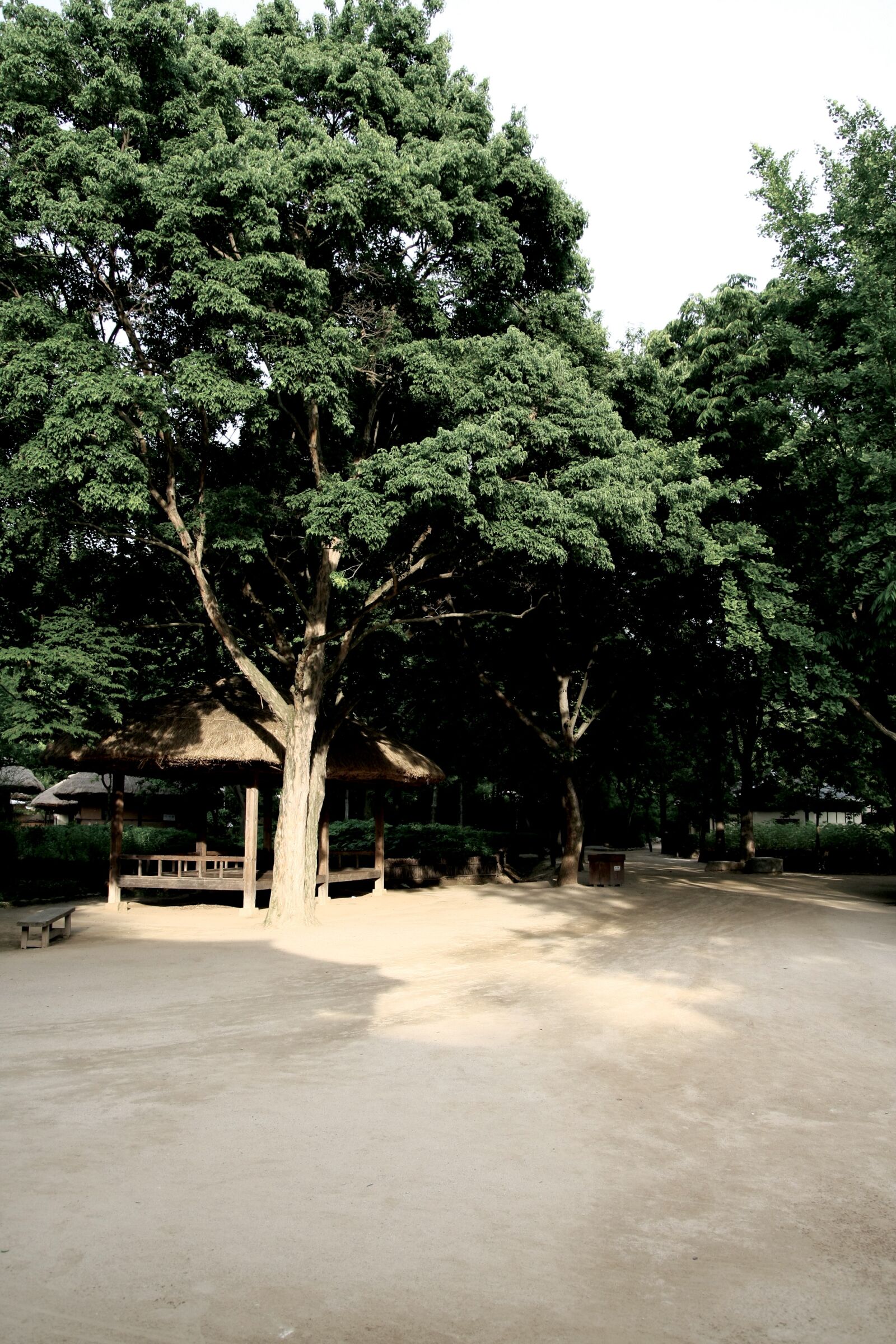 Canon EOS 40D sample photo. Korea, tourism, history photography