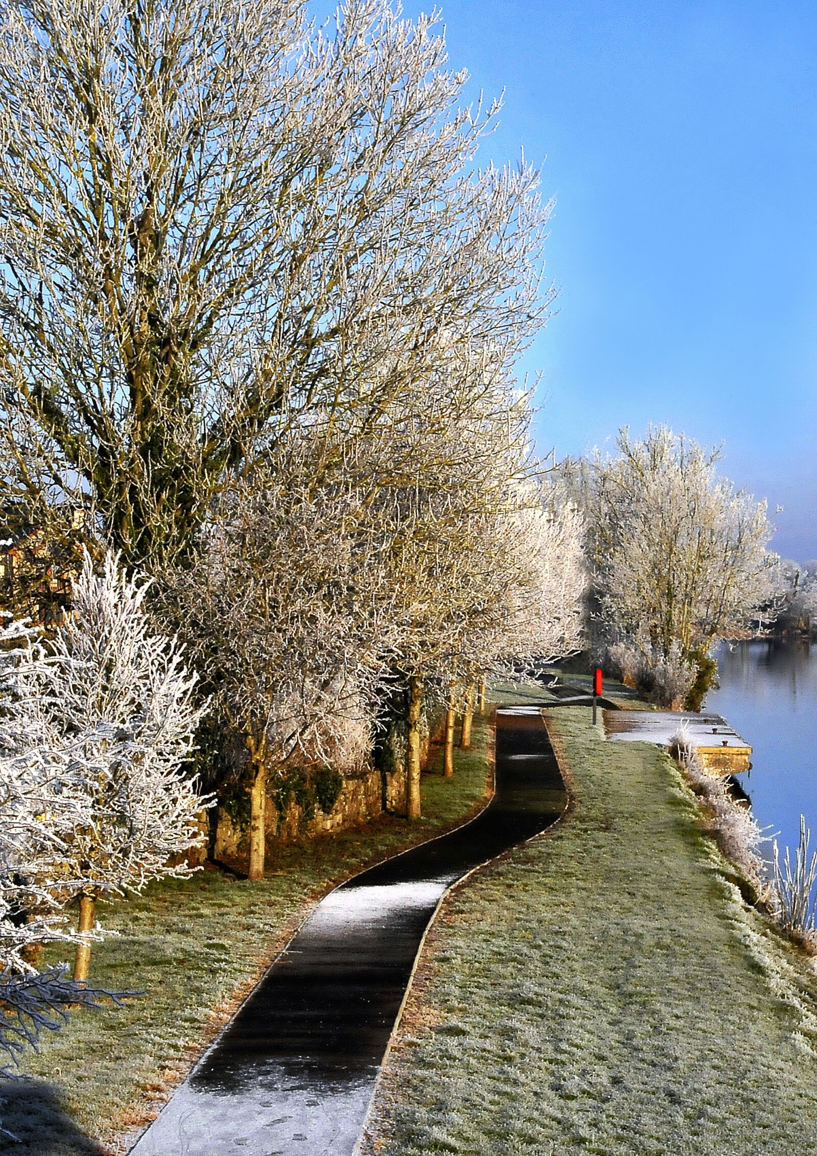 Nikon D300 sample photo. Winter snow, beside the photography