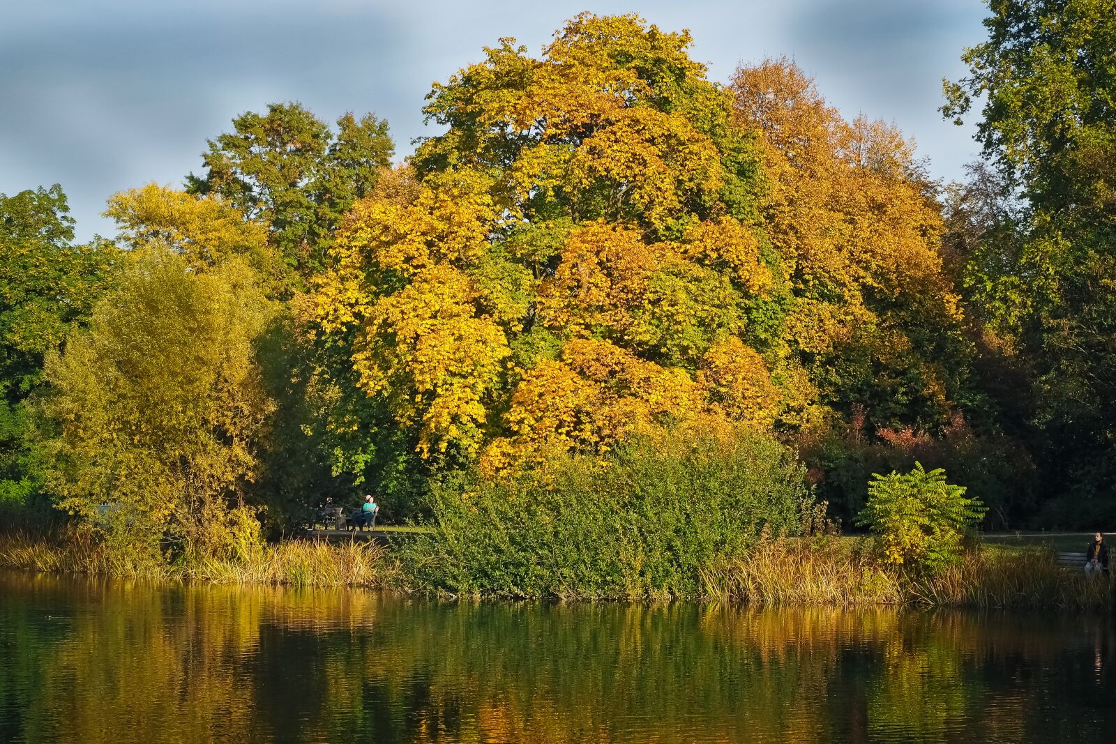 Olympus OM-D E-M10 sample photo. Lake, trees, water photography