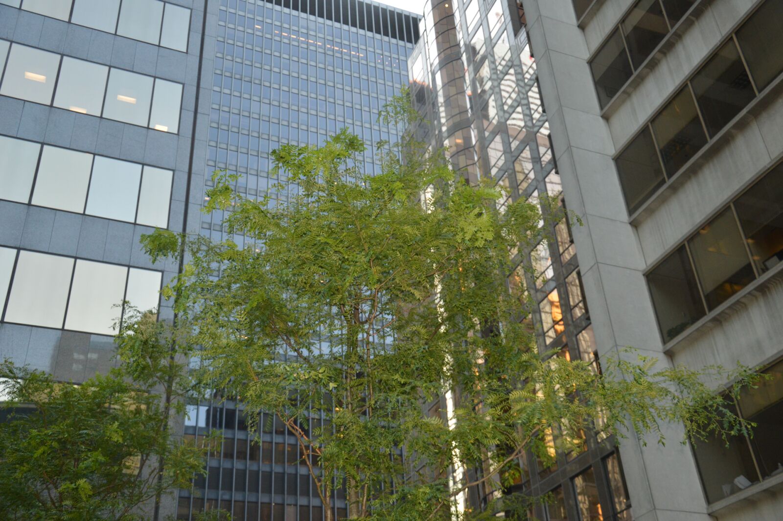 Nikon D3200 sample photo. Downtown, office photography